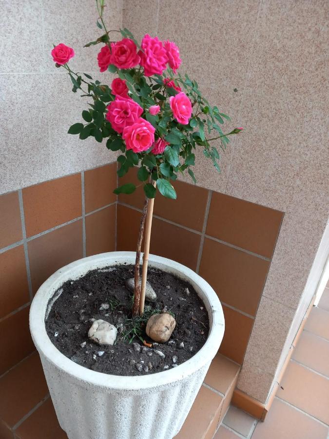 Boa Vista Apartman Combarro Kültér fotó